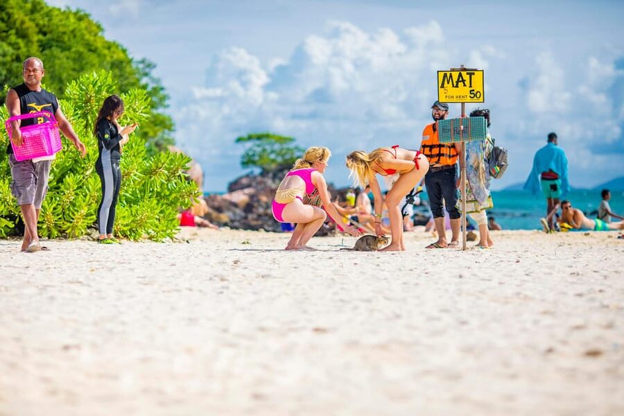 Phuket: Khai Islands Premium Speedboat Half Day Adventure - Hotel pickup and the ride to Asia Marina