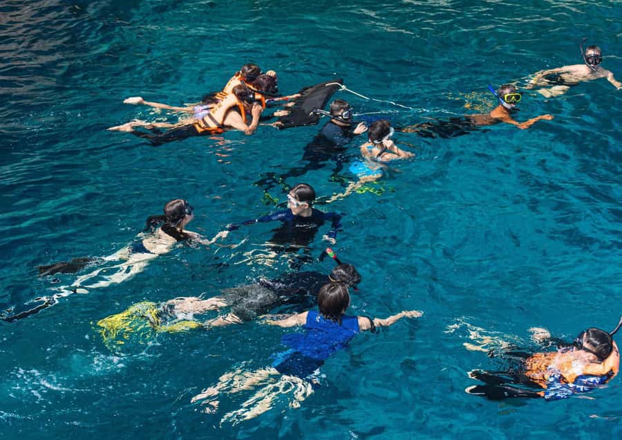 Phuket/Khaolak: Similan Islands Speed Catamaran Premium Trip - Koh Bangu and Island 9 snorkeling