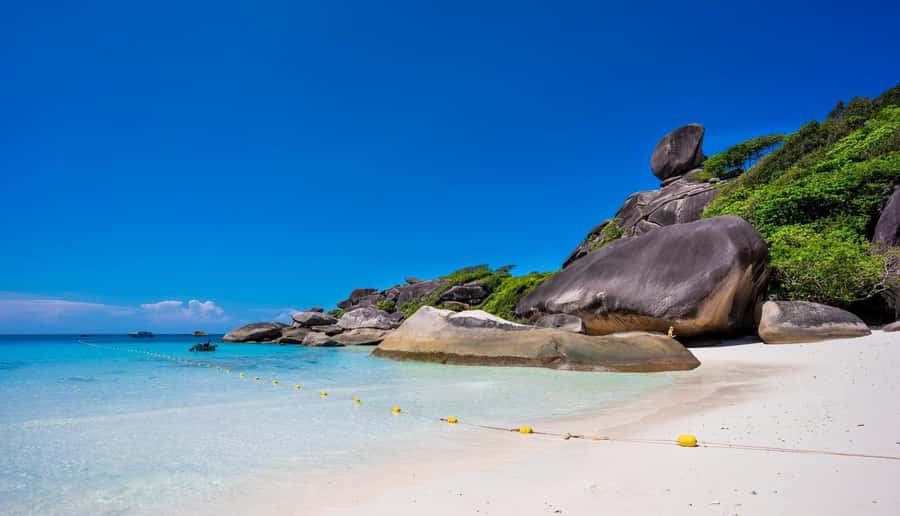 Phuket/Khaolak: Similan Islands Speed Catamaran Premium Trip - Who will get the most from this trip