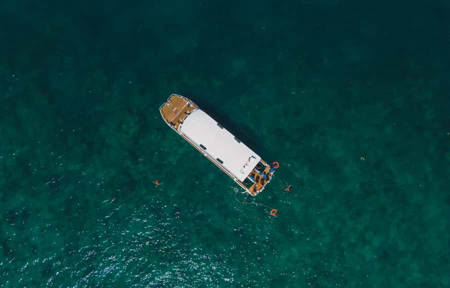 Phuket: Phi Phi, Bamboo & Maithon by Premium Speed Catamaran - Monkey Beach is a quick wildlife stop