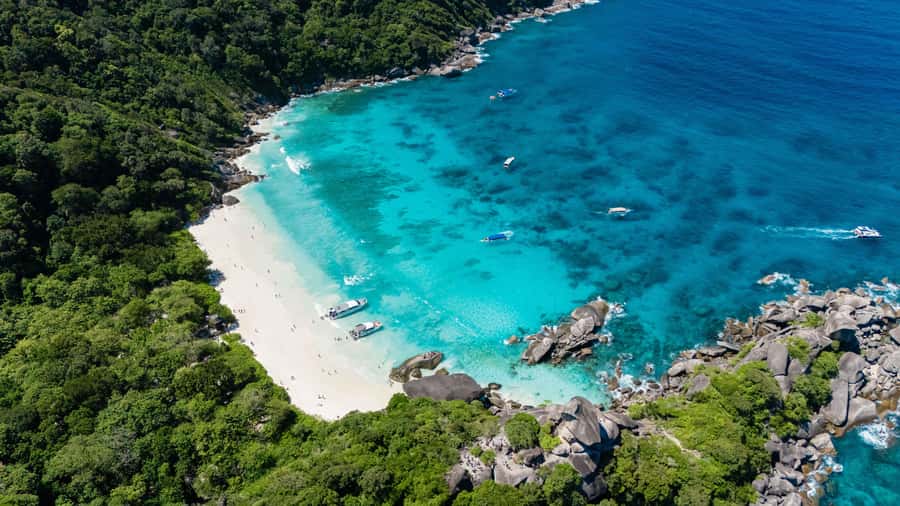 Phuket: Similan Islands Tour by Premium Speed Catamaran - Sail Rock viewpoint and Similan Island