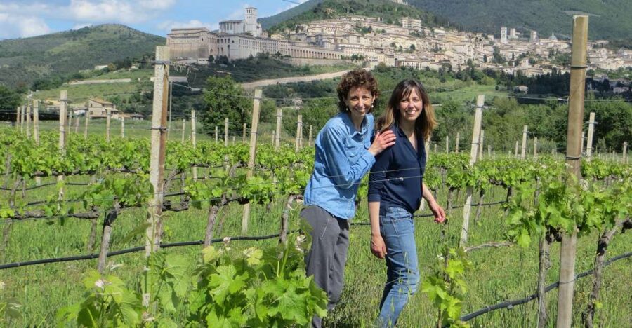 Pic nic Deluxe Assisi and wine tasting 5 wines - Key points to know before you book