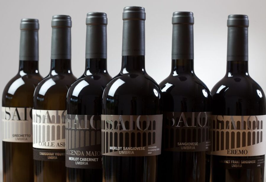 Pic nic Deluxe Assisi and wine tasting 5 wines - Getting there from Assisi, Perugia, or Foligno
