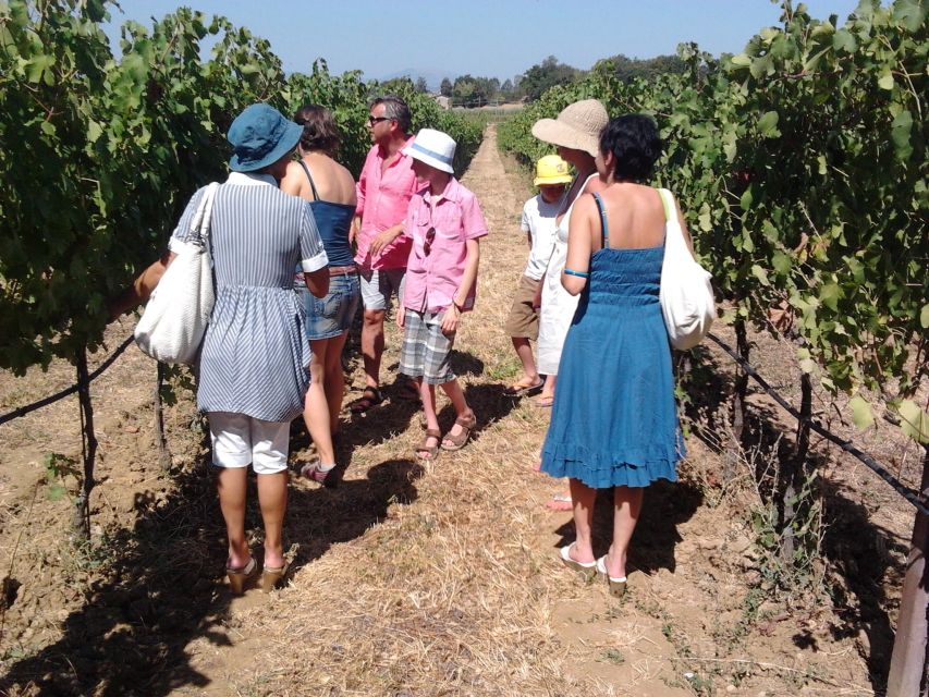 Pic nic Deluxe Assisi and wine tasting 5 wines - When the season and weather matter