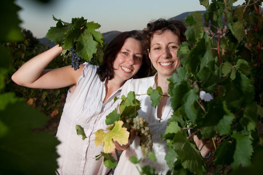 Pic nic Deluxe Assisi and wine tasting 5 wines - The five-wine tasting at SAIO Wine Shop