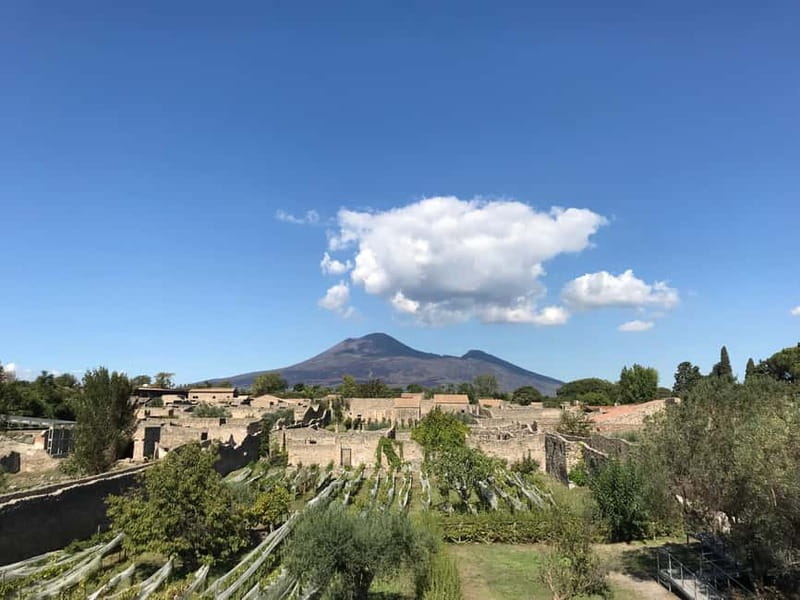 Pompeii: Exclusive Tour with Archaeologist and Entry Tickets - Meeting at Porta Marina