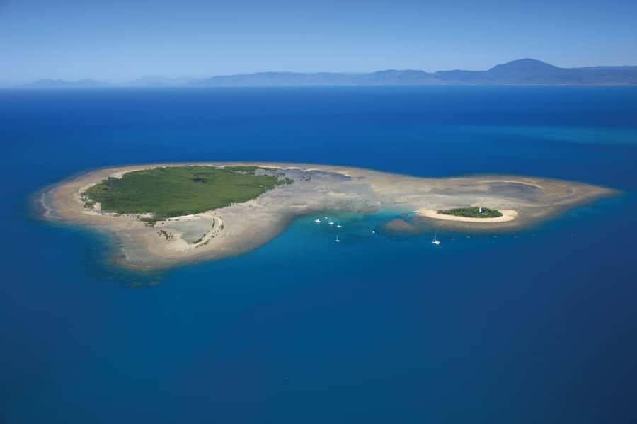 Port Douglas: Low Isles Afternoon Cruise on Luxury Catamaran - Why Low Isles works so well for an afternoon reef trip