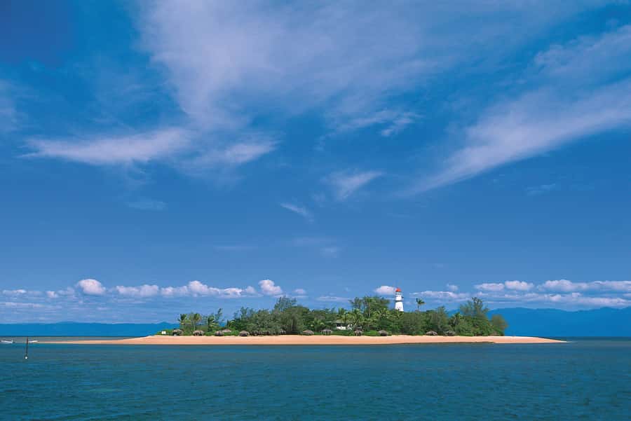 Port Douglas: Low Isles Afternoon Cruise on Luxury Catamaran - Food, drinks, and the sunset sail home