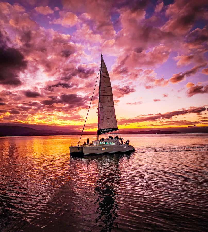 Port Douglas: Low Isles Afternoon Cruise on Luxury Catamaran - Practical tips for a smoother afternoon
