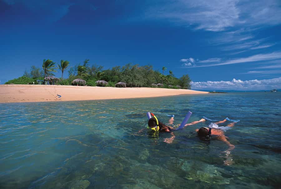 Port Douglas: Reef & Low Isles Cruise on Luxury Catamaran - Key details before you book
