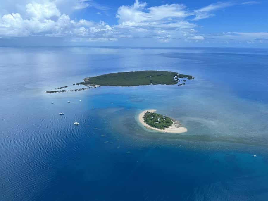 Port Douglas: Reef & Low Isles Cruise on Luxury Catamaran - Lunch, tea, and the practical comfort factor