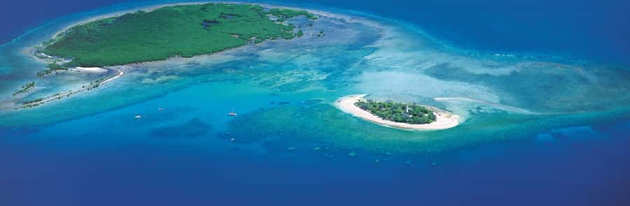Port Douglas: Reef & Low Isles Cruise on Luxury Catamaran - The crew makes a real difference