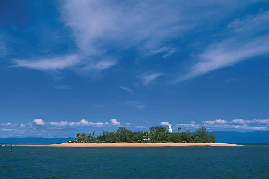 Port Douglas: Reef & Low Isles Cruise on Luxury Catamaran - Weather, visibility, and realistic expectations