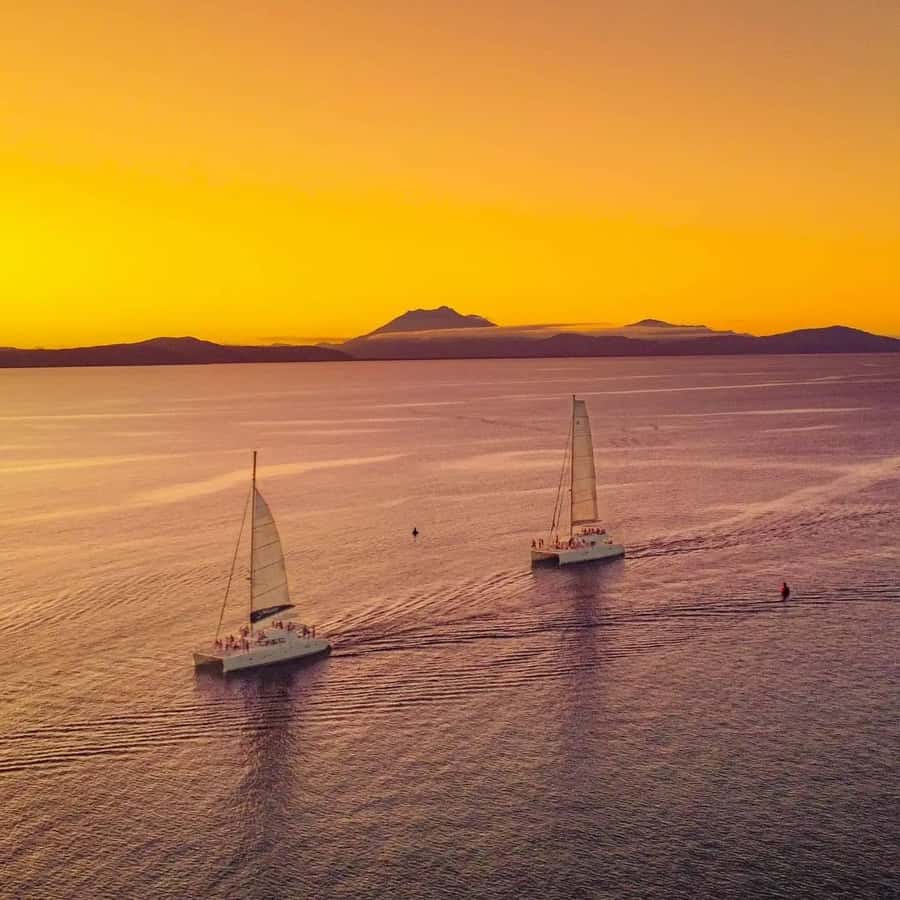 Port Douglas: Sunset Sailing Cruise on Luxury Catamaran - Is $66 Good Value for 90 Minutes?