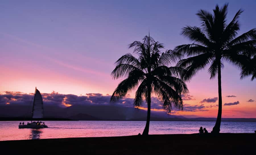 Port Douglas: Sunset Sailing Cruise on Luxury Catamaran - Should You Book the Sailaway Sunset Cruise?