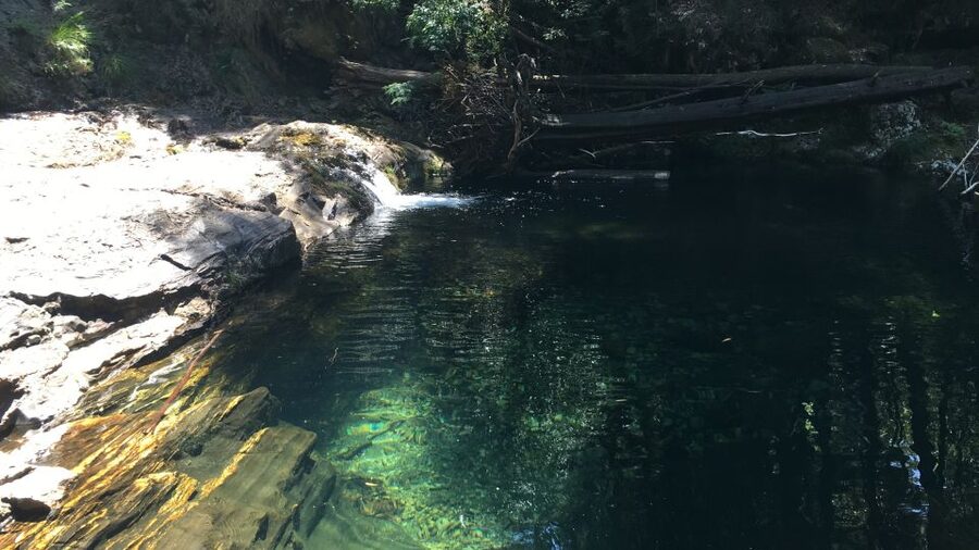 Porto and North coast Exclusive & Secret Waterfalls in 4x4 - Angeiras and the fishing village finish