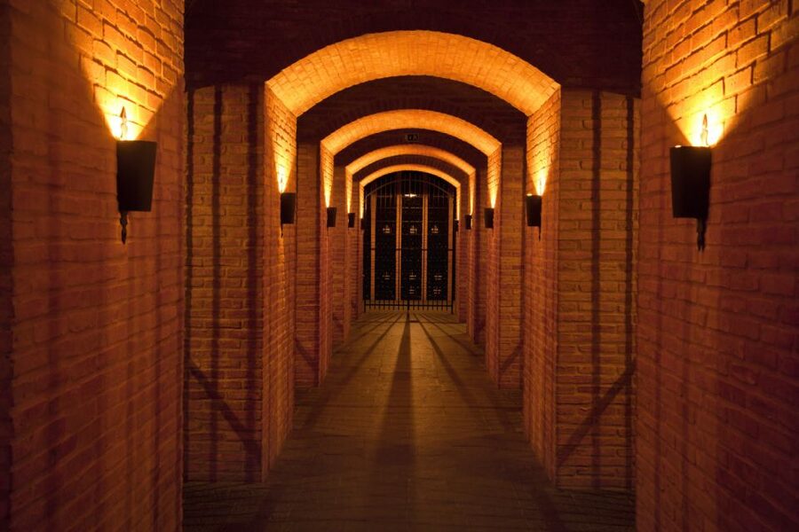 Porto: Graham's Port Lodge Tour with Premium Wine Tastings - Inside the 1890 working cellar
