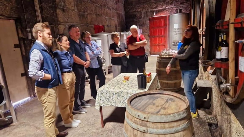 Porto: Premium Douro Valley Small-Group Tour, Cruise & Lunch - Why this makes a strong Douro Valley day trip