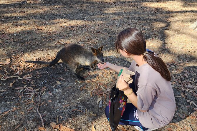 Premium Adelaide Hills Cleland Wildlife and Hahndorf Minibus Tour - How Liz’s guiding shapes the experience