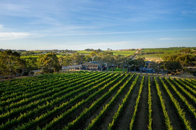 Premium All-Inclusive McLaren Vale Wine and Brew Minibus Tour - What the $213.52 price really covers