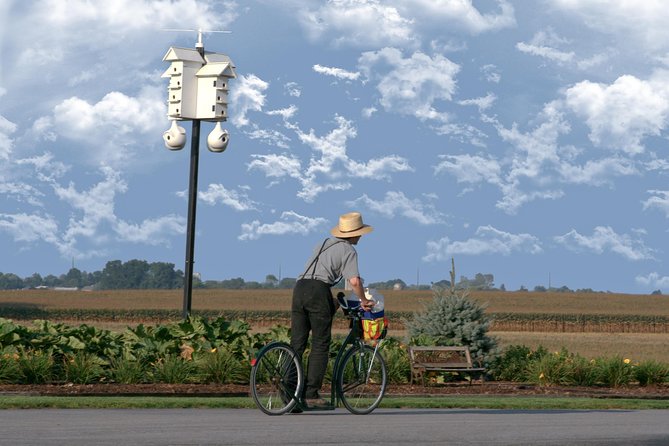Premium Amish Country Tour including Amish Farm and House - What this Premium Amish Country tour actually gives you