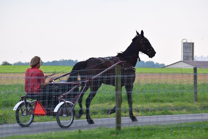 Premium Amish Country Tour including Amish Farm and House - Timing, meeting point, and Sunday planning