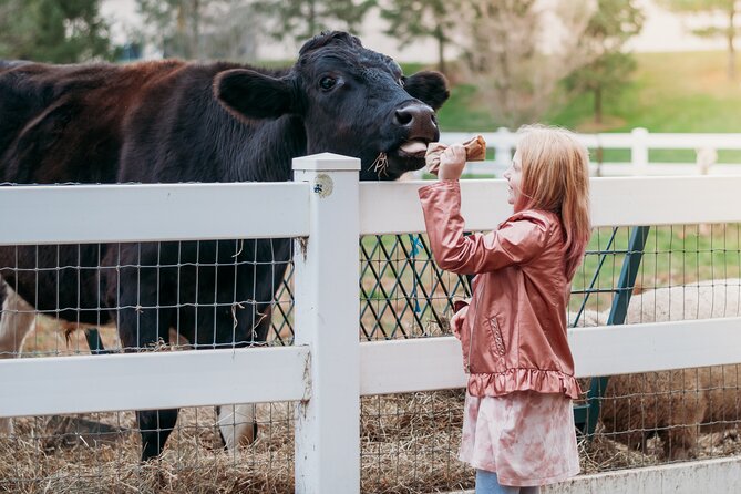 Premium Amish Country Tour including Amish Farm and House - The 90-minute ride through Amish back roads