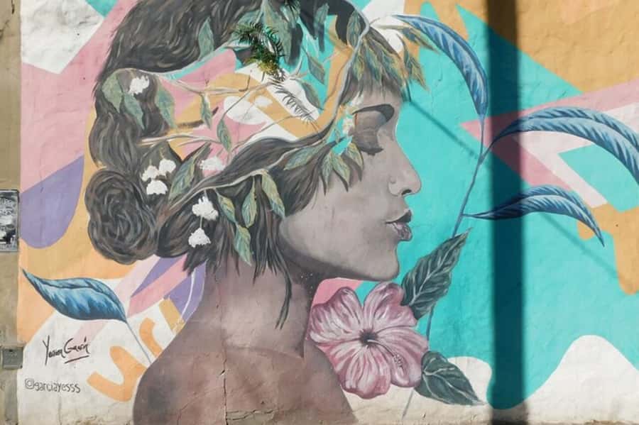 Premium Argentinian Wine and Malbec Tasting & Urban Art Tour - Key points to know before you book