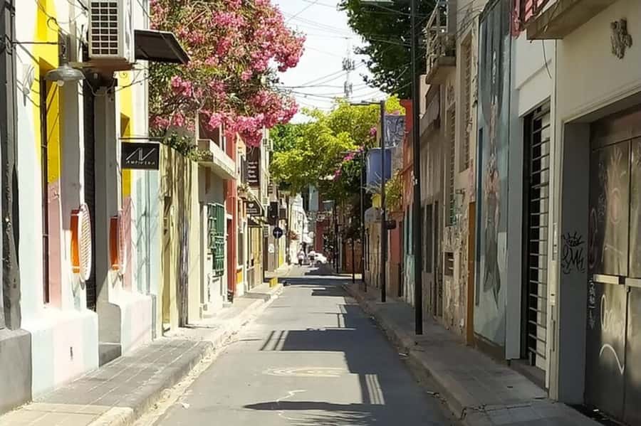 Premium Argentinian Wine and Malbec Tasting & Urban Art Tour - Palermo Soho is the main attraction