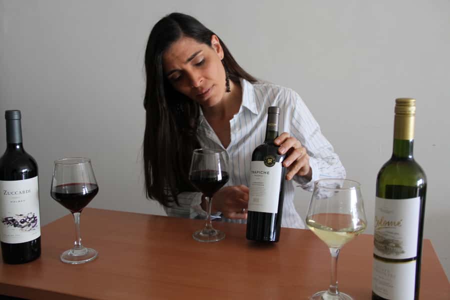Premium Argentinian Wines and Malbec Tasting Experience - Who gets the most from this tasting