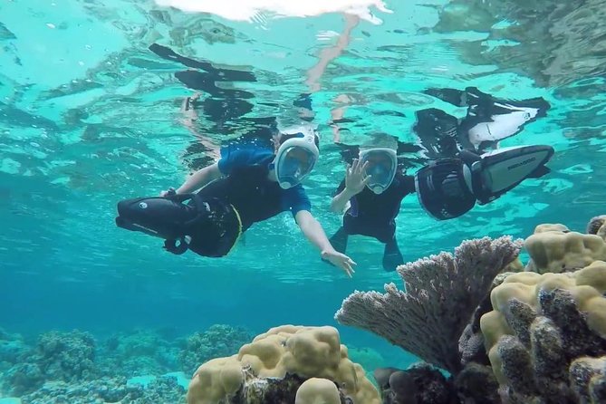 Premium Catamaran Afternoon Sail: Snorkeling and Lunch - The Antilla shipwreck, Aruba’s underwater centerpiece