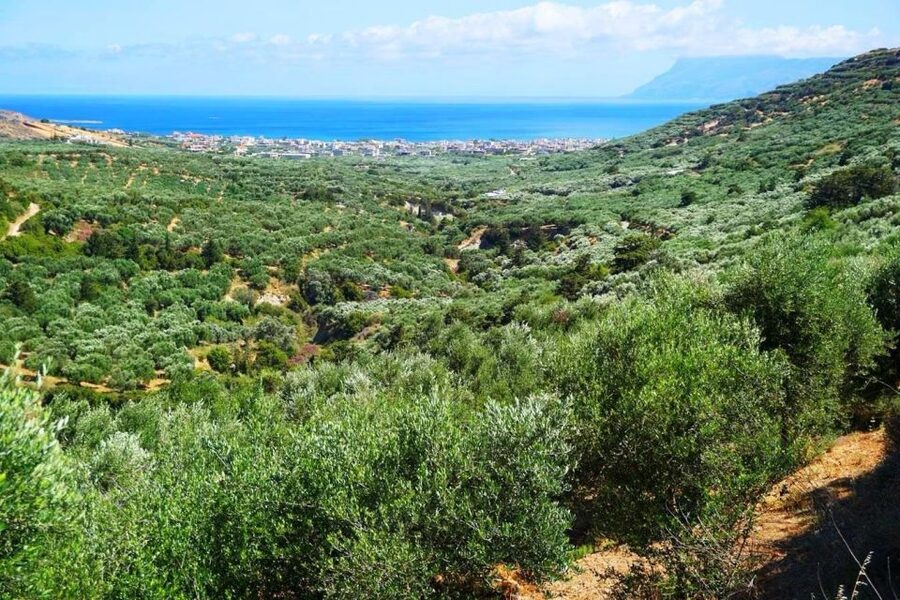 Premium Crete Olive oil tasting, Wine, Raki and Cretan food! - Is $165 per person fair?