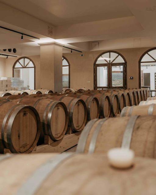 Premium Crete Olive oil tasting, Wine, Raki and Cretan food! - The olive oil mill in Skalani