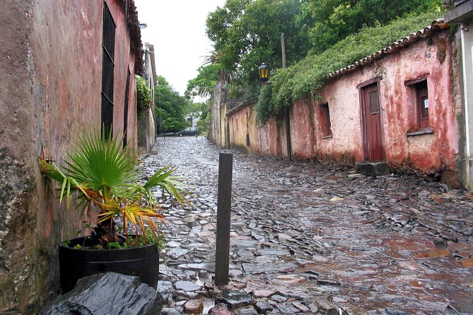 Premium Day Tour to Colonia del Sacramento - What lunch at Mesón de la Plaza includes