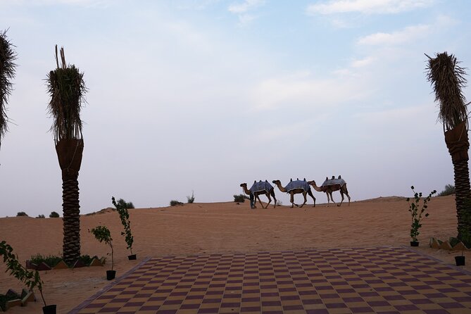 Premium Deluxe Dubai Safari with Camel Ride, Sandboard & BBQ - How the price compares with the experience