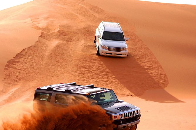 Premium Desert Safari Dubai: Desert Camping & Dune Bashing - What the guide can add to the day