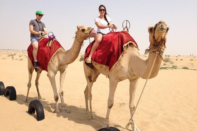 Premium Desert Safari Dubai: Desert Camping & Dune Bashing - Who should book this safari