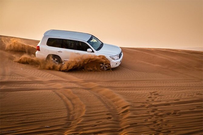 Premium Desert Safari Dubai with Camel Riding and BBQ Dinner - Key points to know before booking