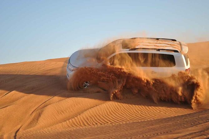 Premium Desert Safari with Dinner, Dunes and Ten Shows (VIP) - Is $90 good value?