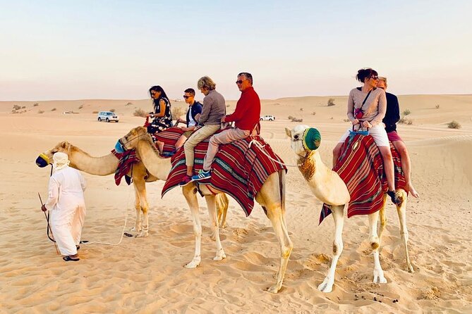 Premium Desert safari With Dune buggy camel ride BBQ dinner - Reaching Lahbab by SUV in the afternoon