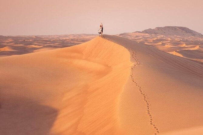 Premium Desert safari With Dune buggy camel ride BBQ dinner - Camel riding at Al Awir