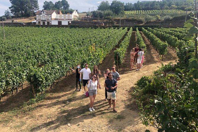Premium Douro Valley Small-Group Tour, Wine Tasting, Lunch & Boat - Why this Douro Valley day trip works