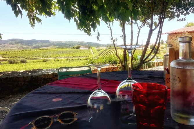 Premium Douro Valley Small-Group Tour, Wine Tasting, Lunch & Boat - The road from Porto to the Douro