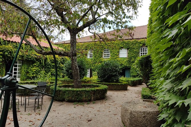 Premium Douro Valley Small-Group Tour, Wine Tasting, Lunch & Boat - Wine, olive oil, and honey in Vilarinho de São Romão