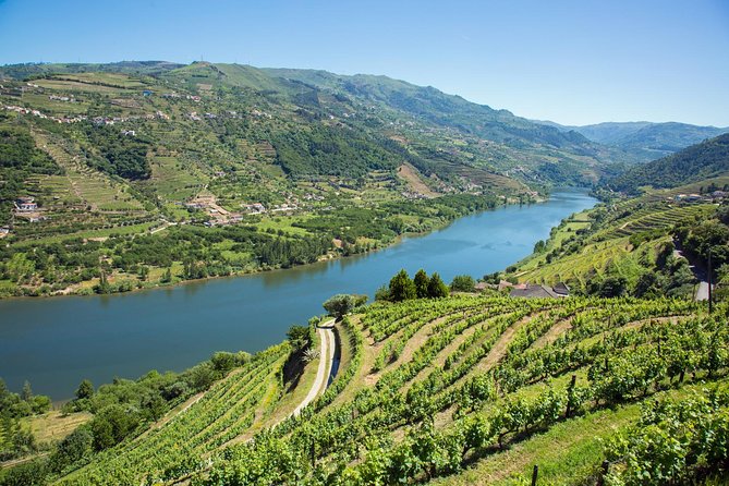 Premium Douro Valley Small-Group Tour, Wine Tasting, Lunch & Boat - The guides shape the day