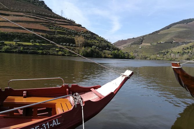 Premium Douro Valley Small-Group Tour, Wine Tasting, Lunch & Boat - Small group advantages and limits