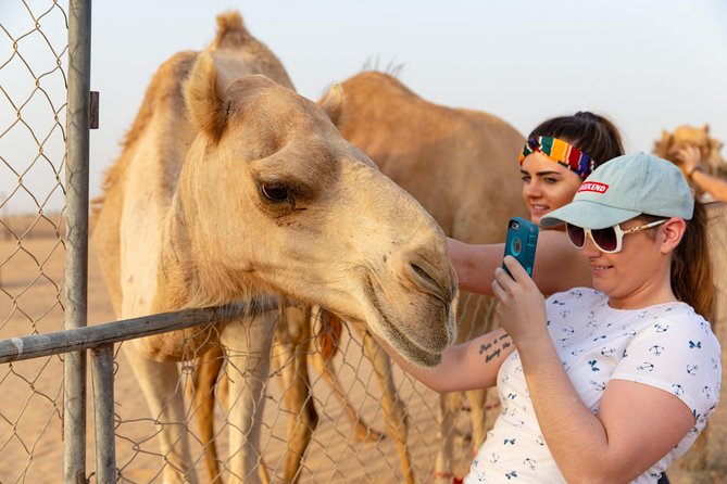 Premium Dubai Desert Safari with BBQ Dinner in the Red Dunes - What the $49 price really covers