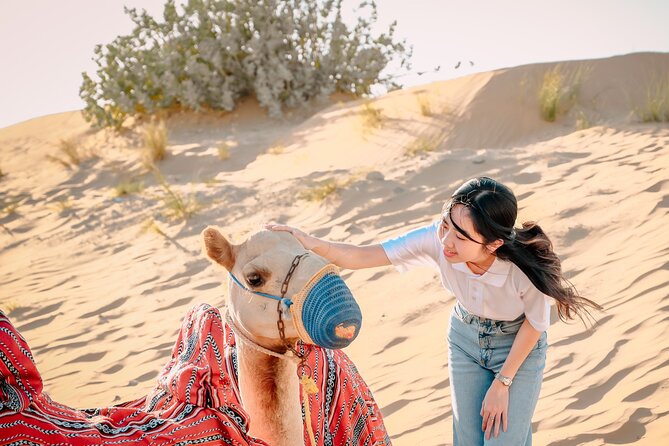 Premium Dubai Desert Safari with Dune Bashing, BBQ, Live Shows - Why this safari works as a first taste of the Dubai desert