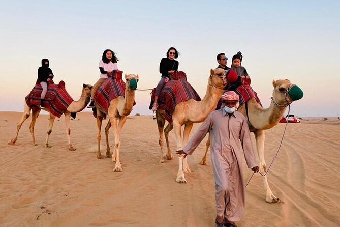 Premium Dubai Red Dunes with quadbike, camel ride and VIP Dinner - Sunset, coffee, dates, and a falcon