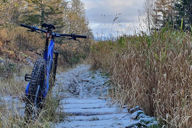 Premium eBike rental - Winter riding with studded tires